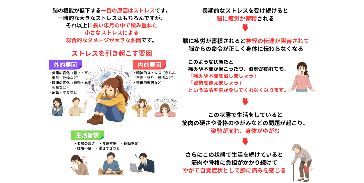 ストレスが脳の機能低下の原因　ストレスが身体に与える影響